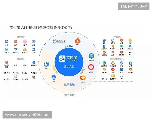 乐鱼app作为大巴黎官方合作伙伴的合作流程与未来合作规划分析